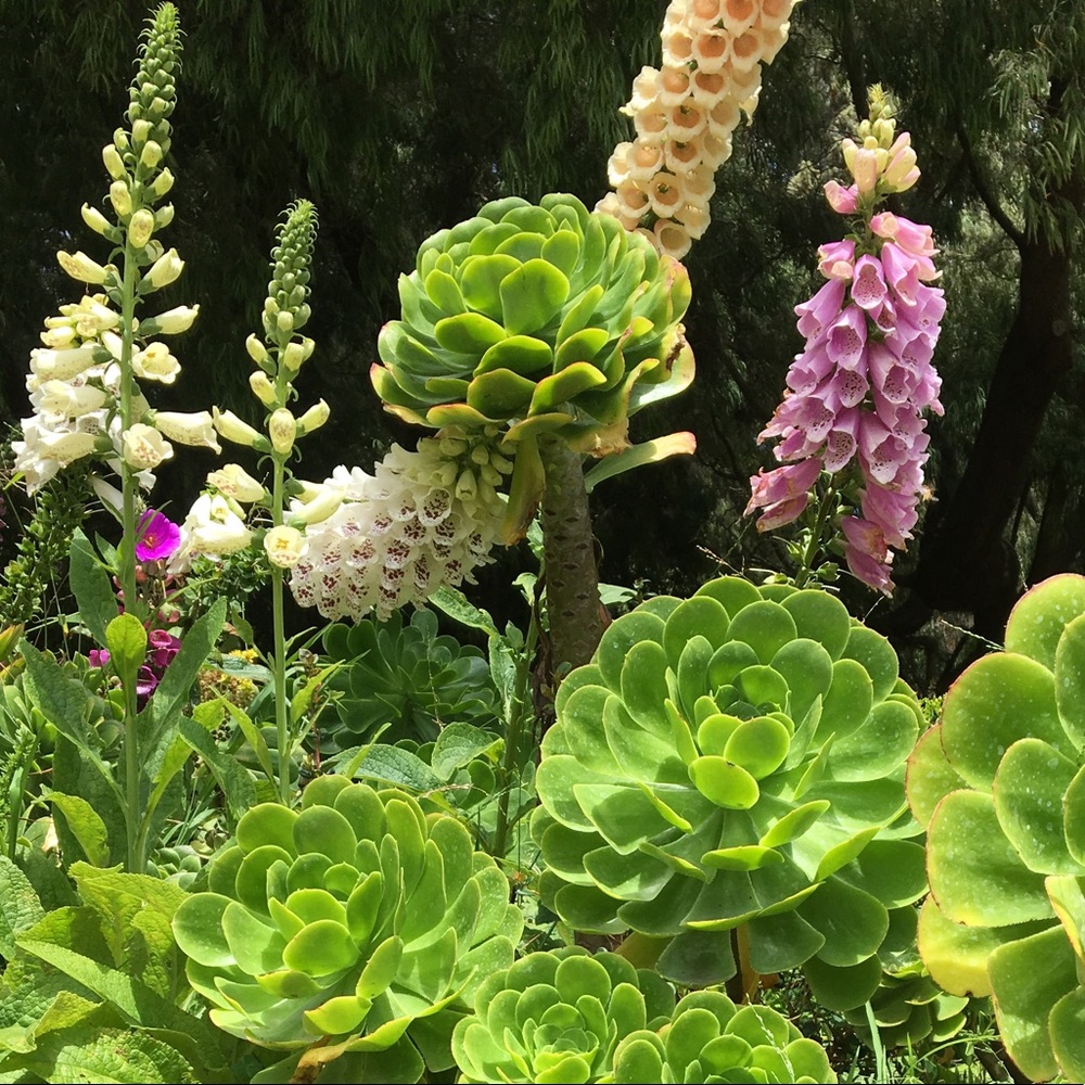 Meet your Posher, Madeline